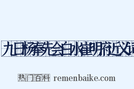 九日杨奉先会白水崔明府近义词是什么意思的图片